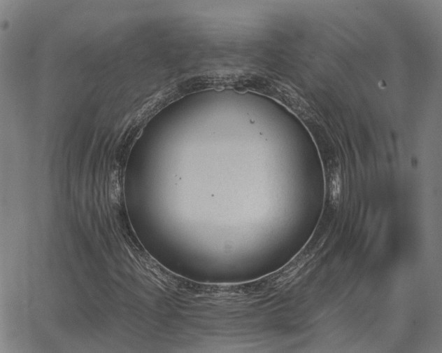 X0000062881204200601201811