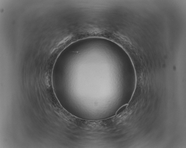 X0000062881205200601201811