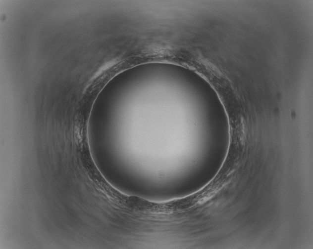 X0000062881206200601201811