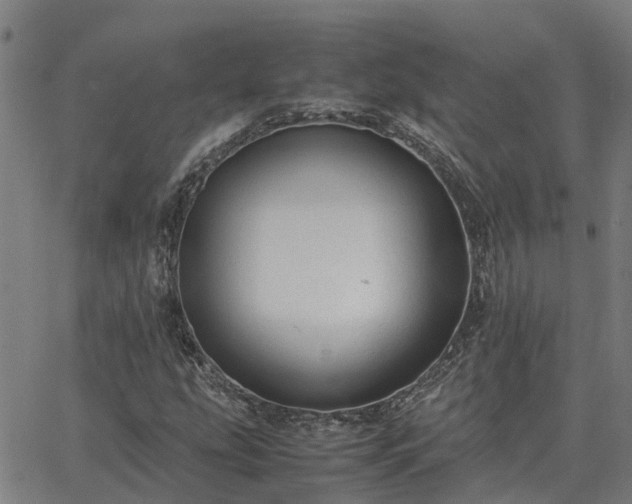 X0000062881207200601201811