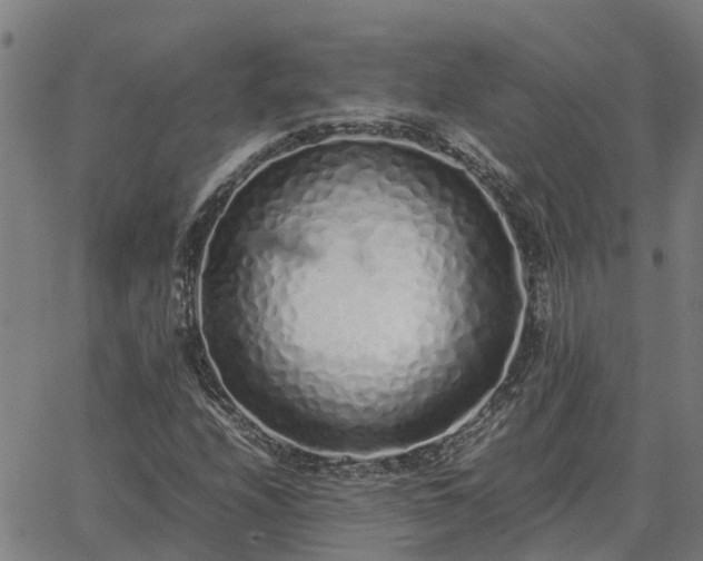 X0000062881208200601201811