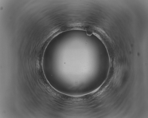 X0000062881209200601201811