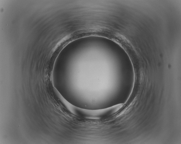 X0000062881210200601201811