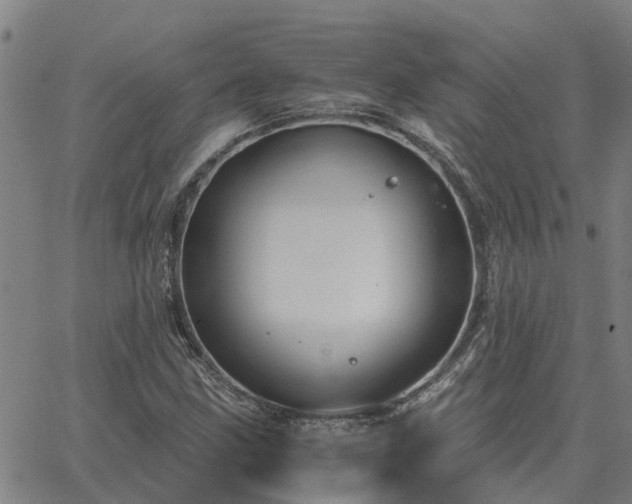 X0000062881211200601201811