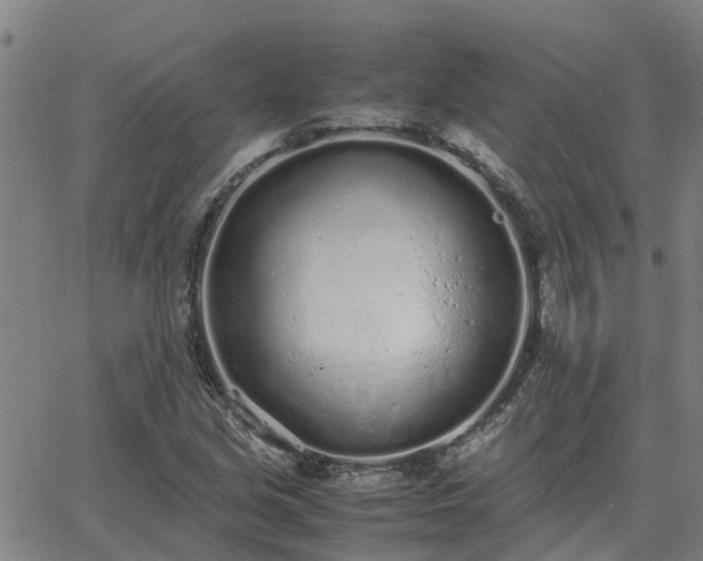 X0000062881213200601201811