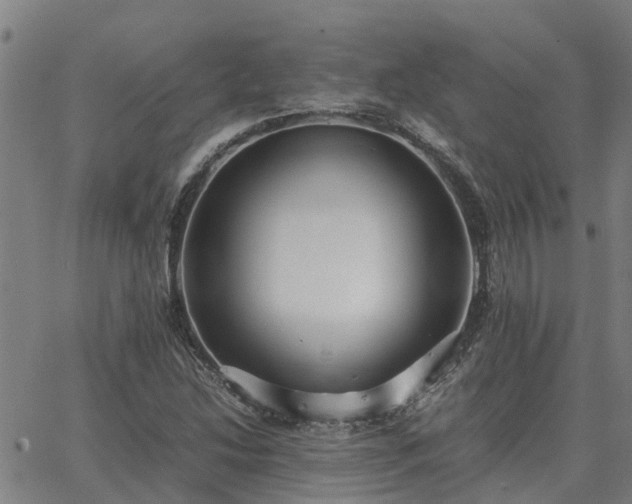 X0000062881214200601201811