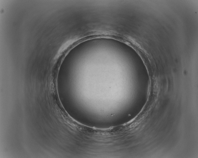 X0000062881215200601201811