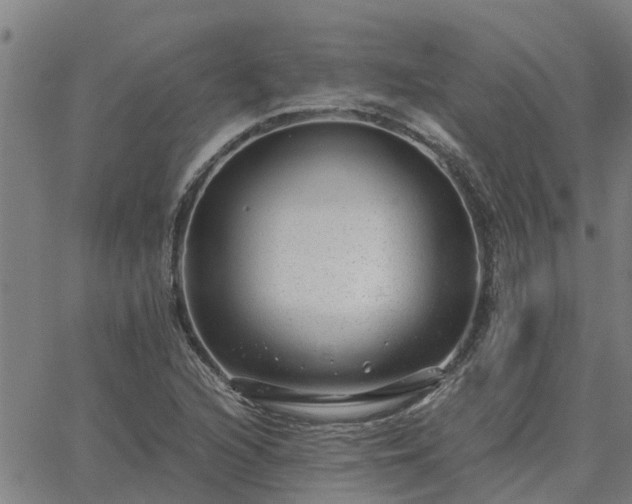 X0000062881216200601201811