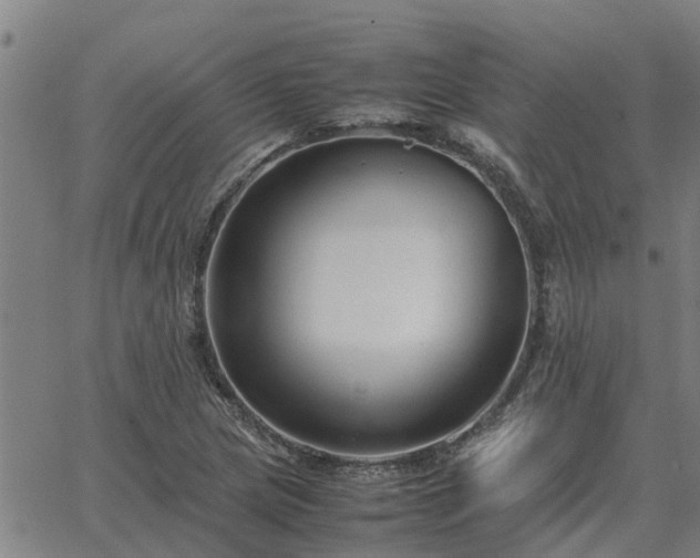 X0000062881217200601201811