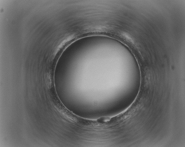 X0000062881218200601201811