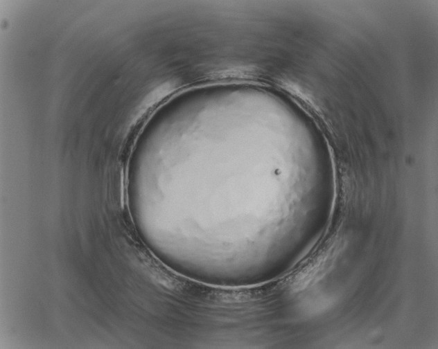 X0000062881219200601201811