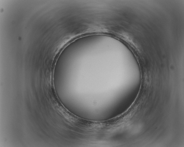 X0000062881220200601201811