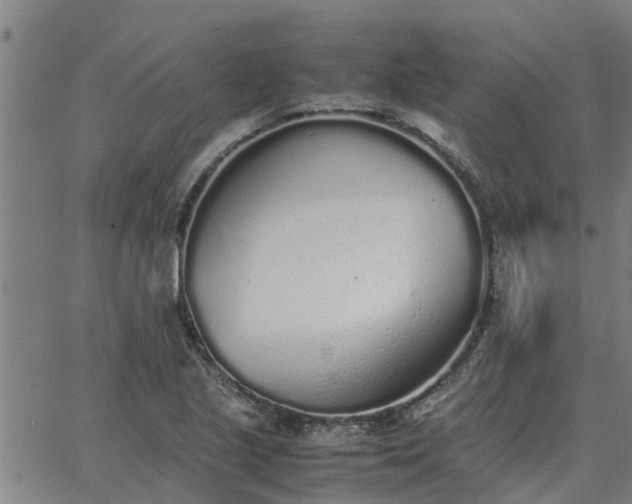 X0000062881221200601201811