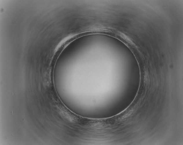 X0000062881222200601201811