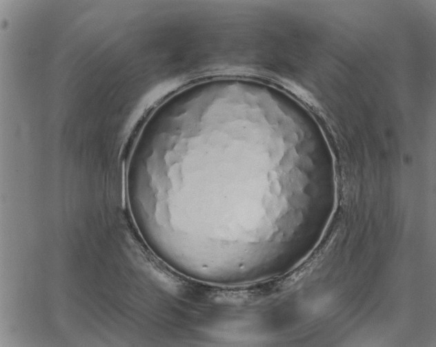 X0000062881223200601201811