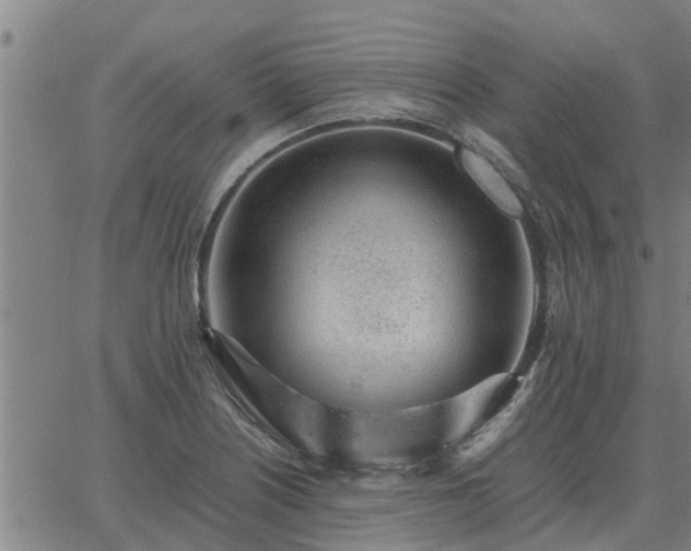 X0000062881226200601201811