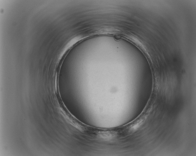 X0000062881227200601201811