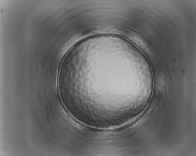 X0000062881228200601201811