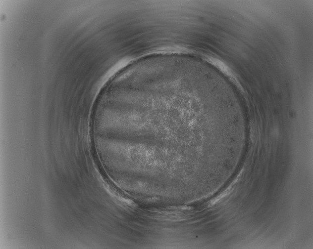 X0000062881229200601201811