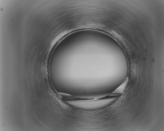 X0000062881230200601201811