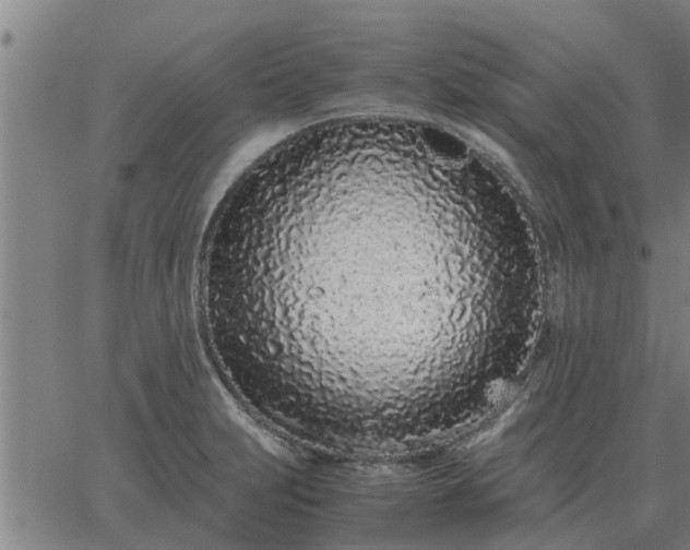 X0000062881231200601201811