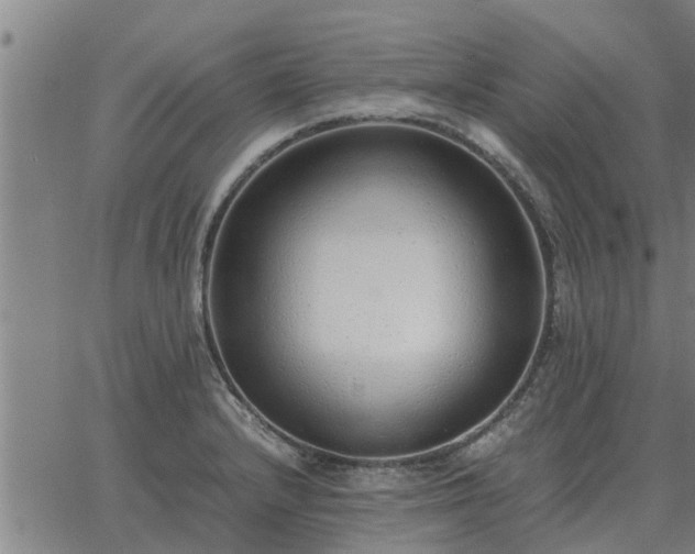 X0000062881232200601201811