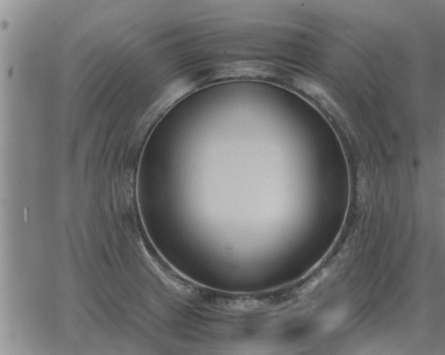 X0000062881233200601201811