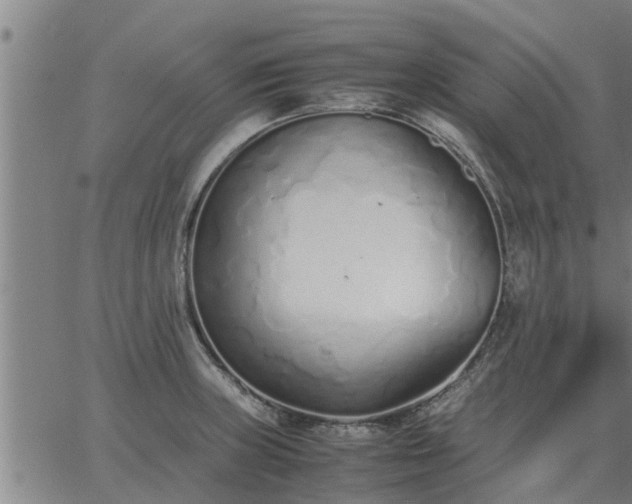 X0000062881235200601201811