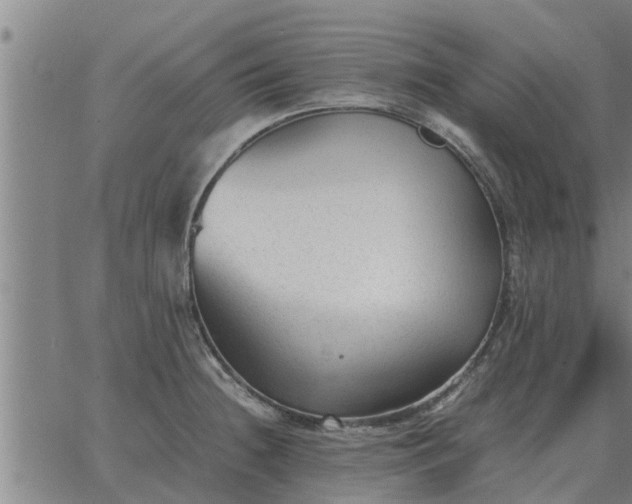 X0000062881236200601201811