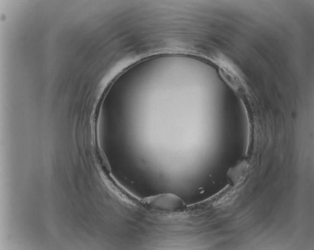 X0000062881238200601201811