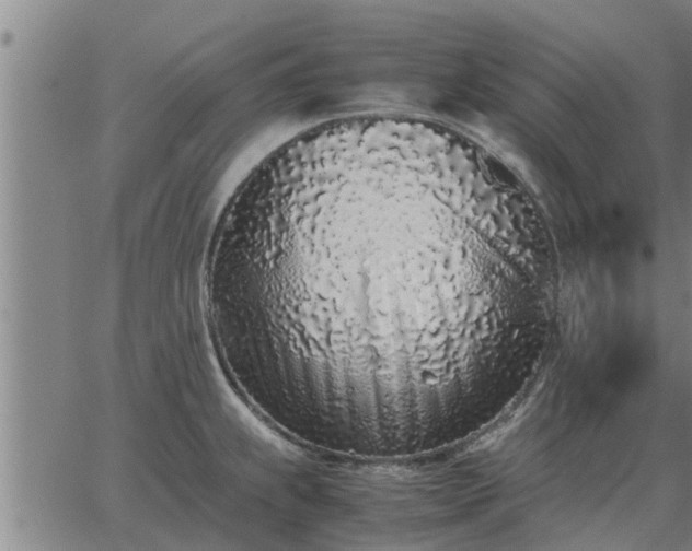 X0000062881239200601201811