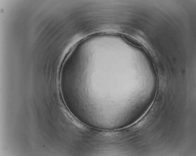 X0000062881240200601201811