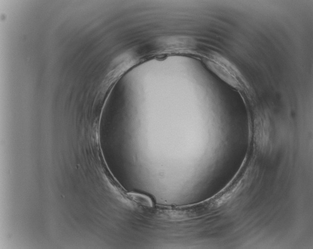 X0000062881241200601201811