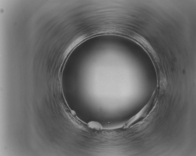 X0000062881242200601201811