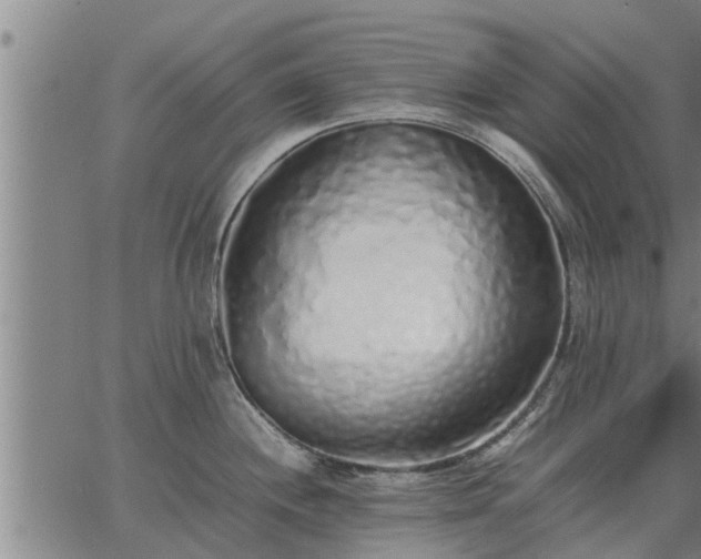 X0000062881244200601201811