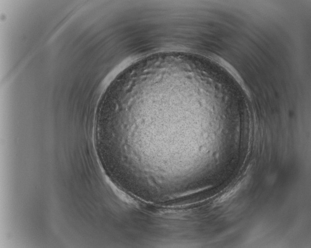 X0000062881245200601201811