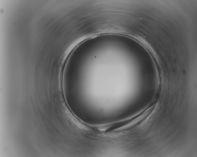 X0000062881246200601201811