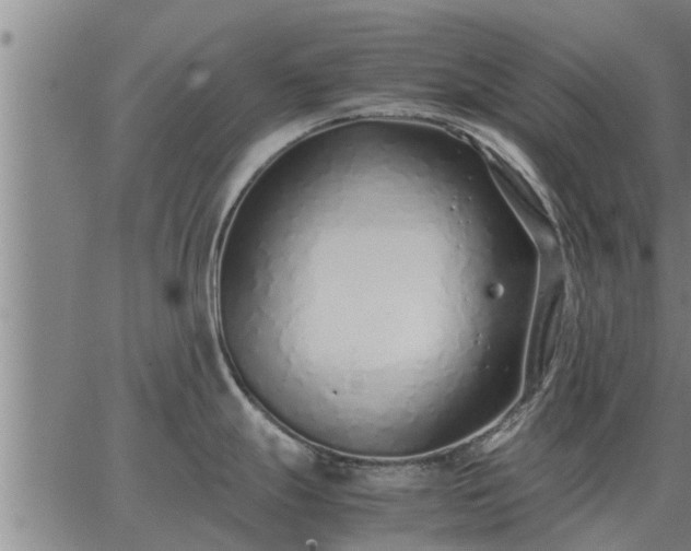 X0000062881247200601201811