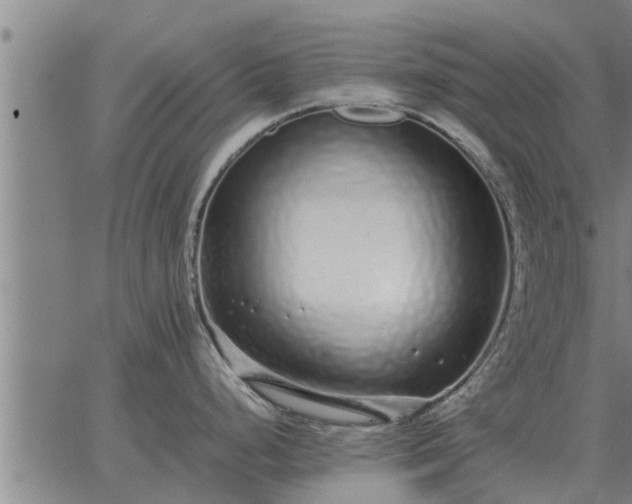 X0000062881248200601201811