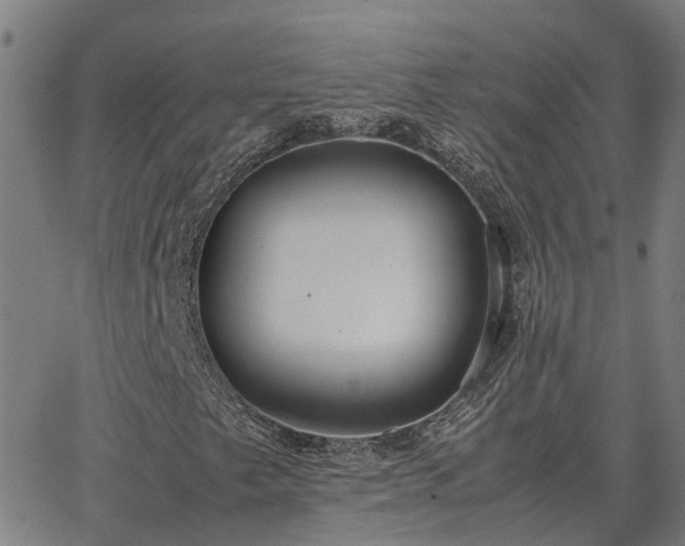 X0000062881249200601201811