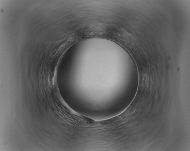 X0000062881250200601201811