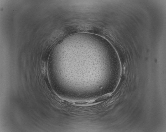 X0000062881251200601201811