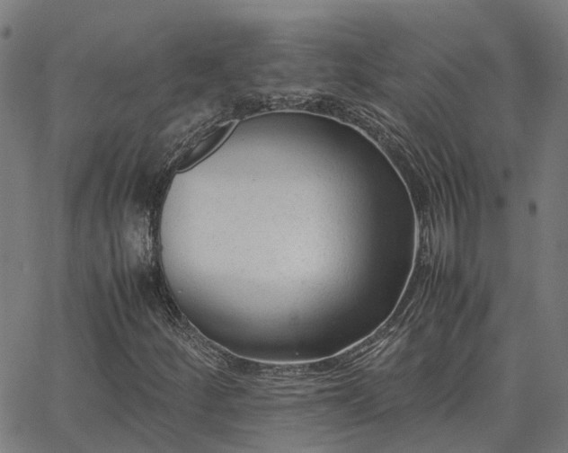 X0000062881252200601201811