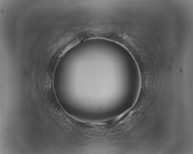 X0000062881253200601201811