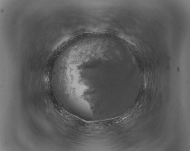 X0000062881254200601201811