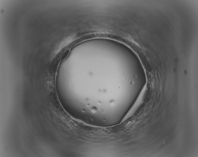 X0000062881255200601201811