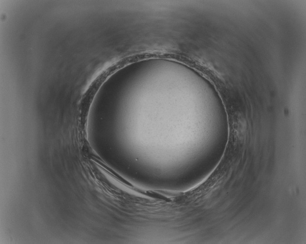 X0000062881256200601201811