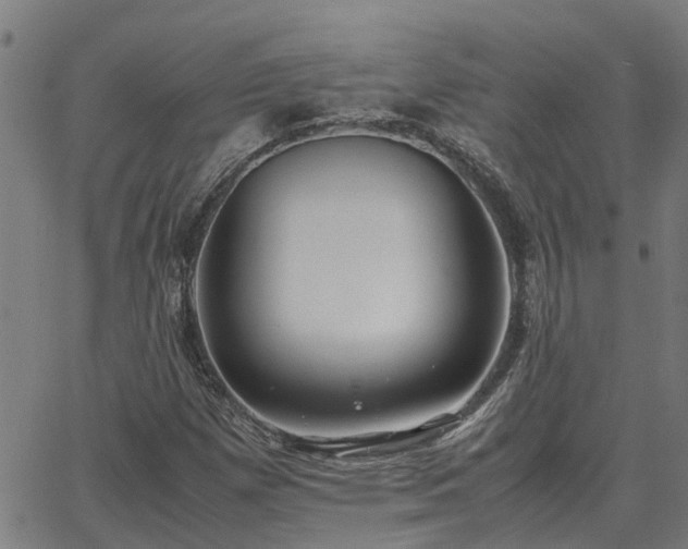 X0000062881257200601201811