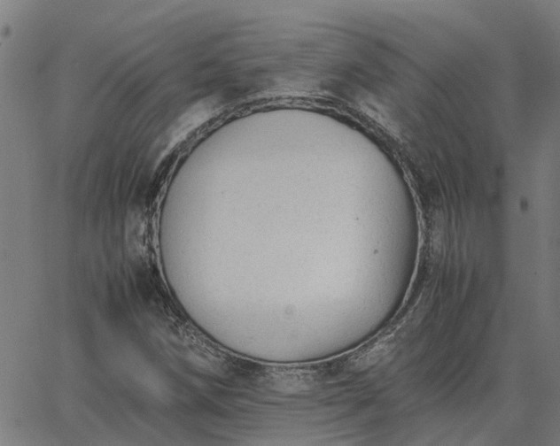 X0000062881258200601201811