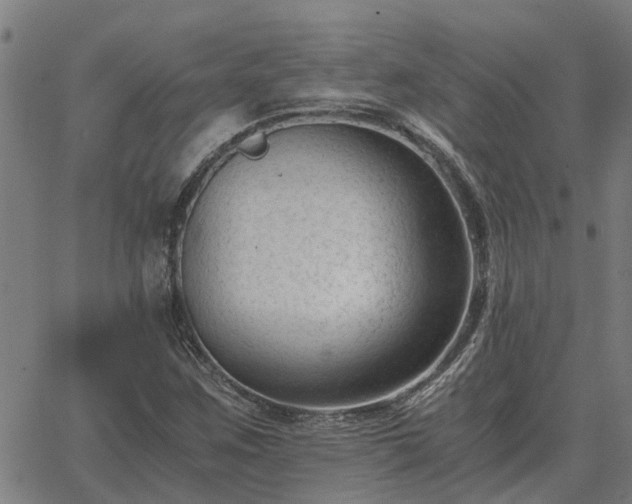 X0000062881259200601201811